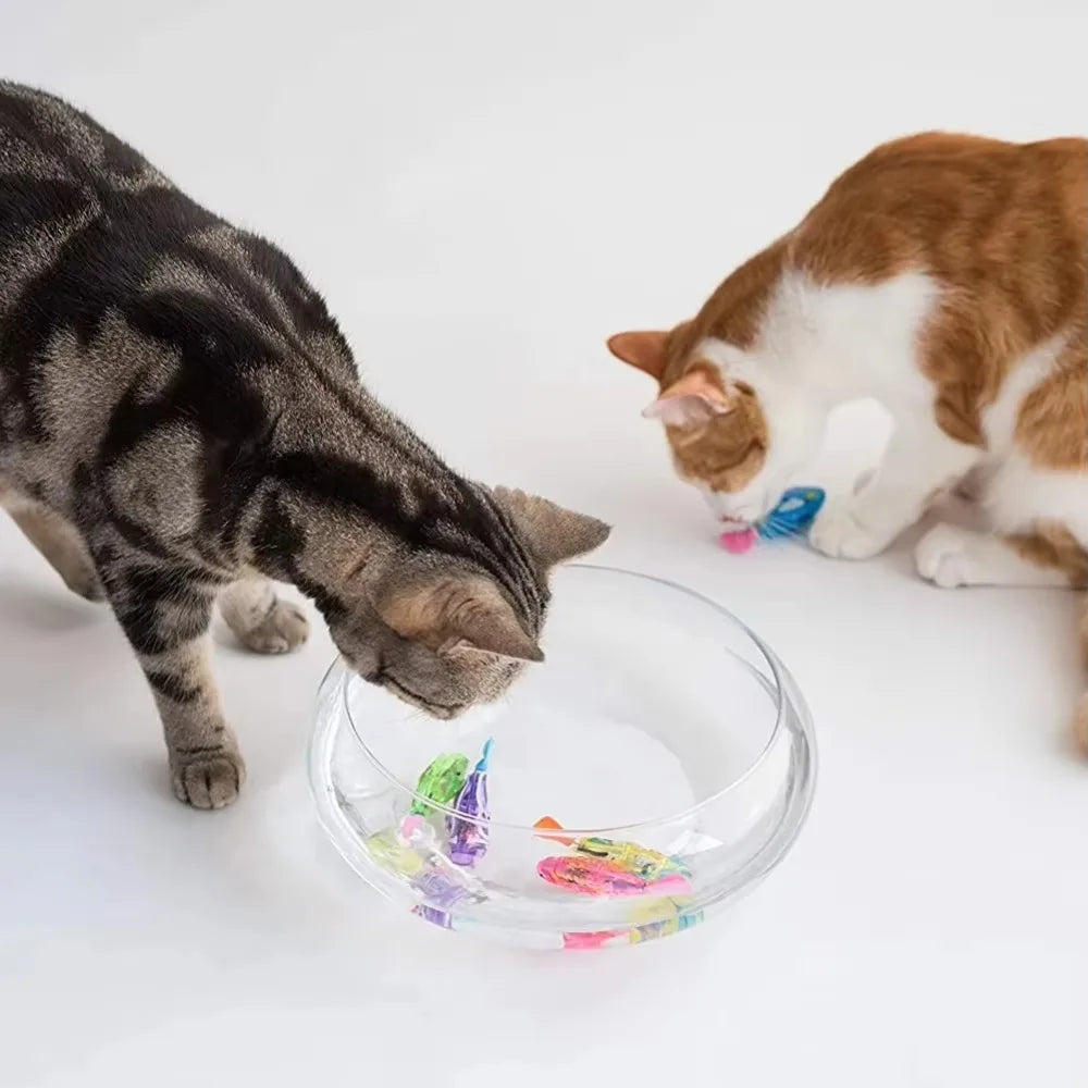 Cat Toy