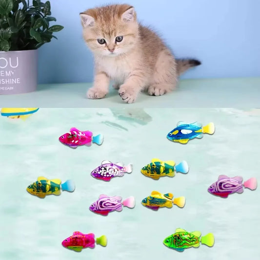 Cat Toy